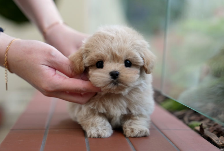 KakaoTalk_20260911_163641775.png