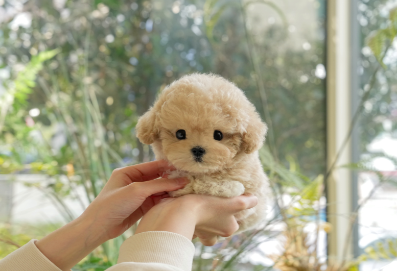 KakaoTalk_20260907_132132248.png
